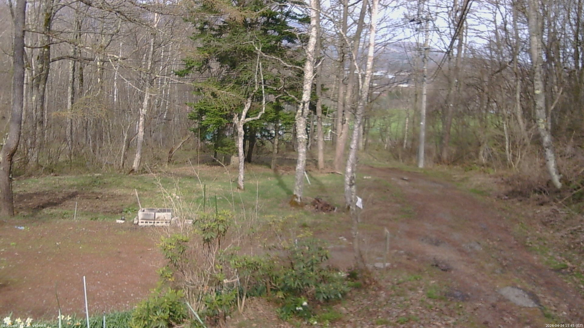 長野県菅平高原 ゆたか山荘 坂上 2026/04/24 15:45
