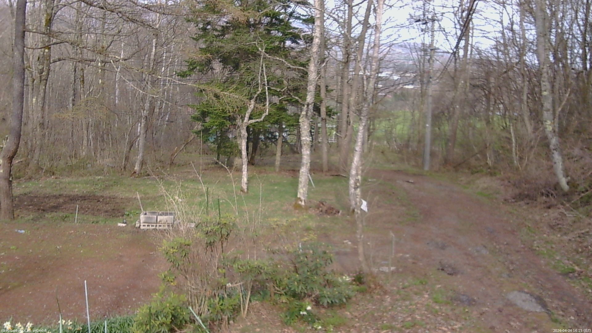 長野県菅平高原 ゆたか山荘 坂上 2026/04/24 16:15
