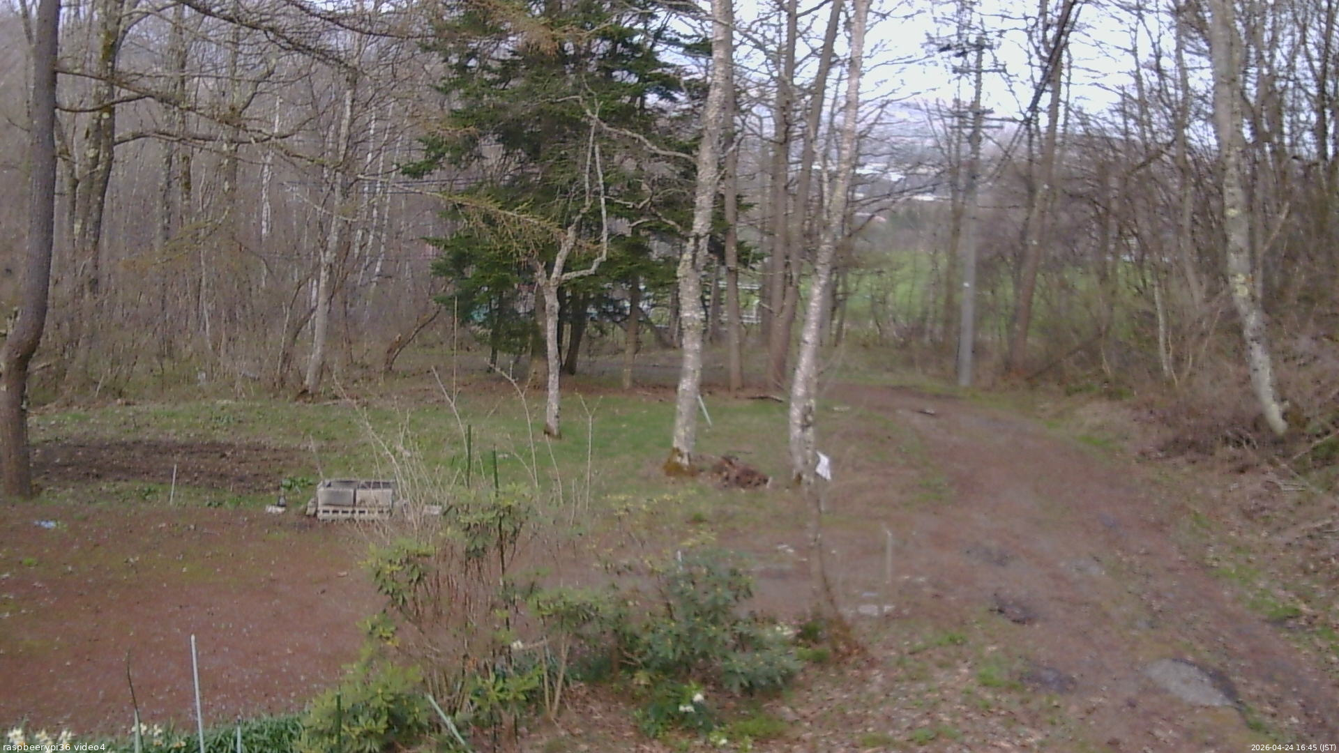 長野県菅平高原 ゆたか山荘 坂上 2026/04/24 16:45