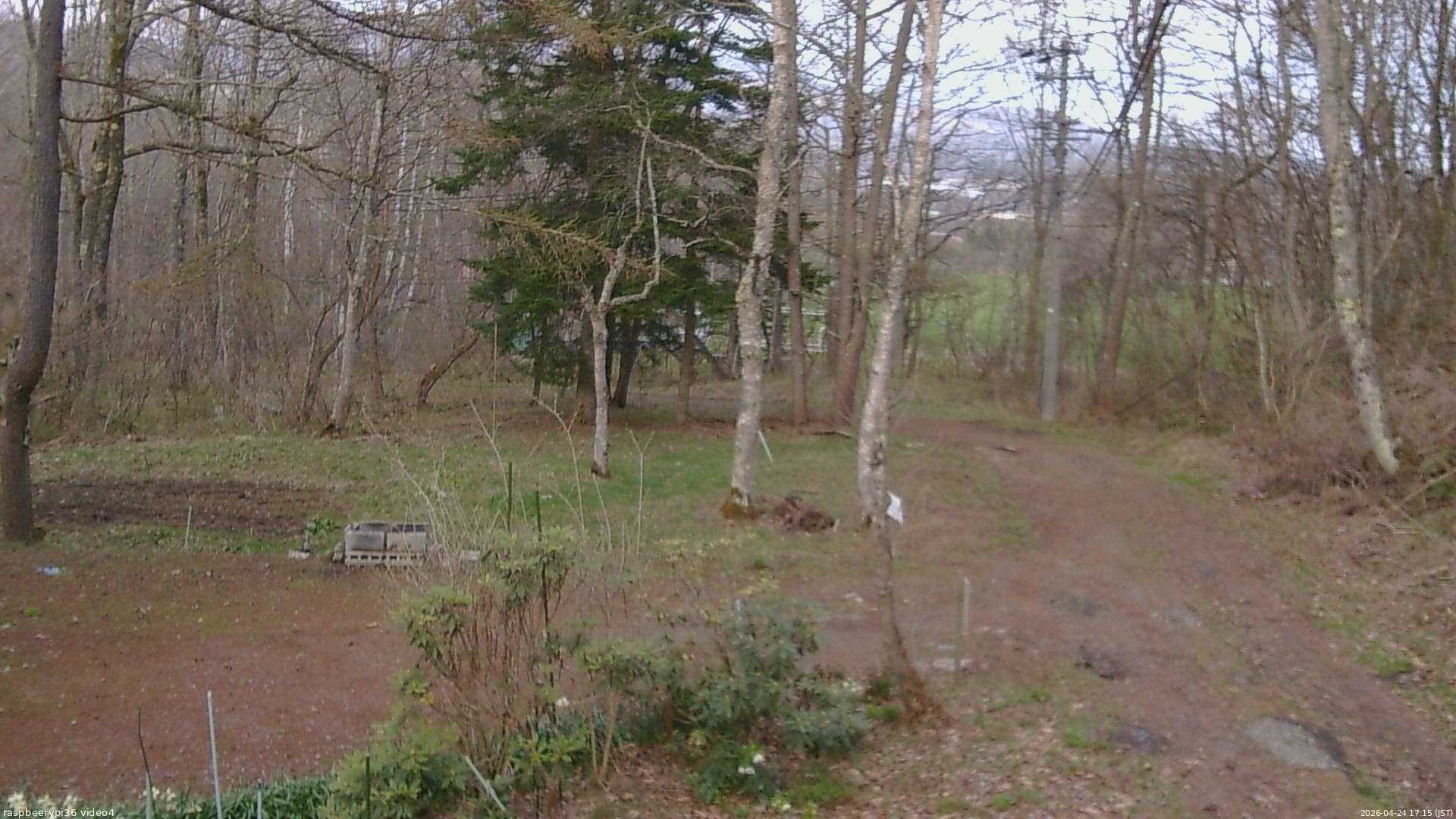 長野県菅平高原 ゆたか山荘 坂上 2026/04/24 17:15