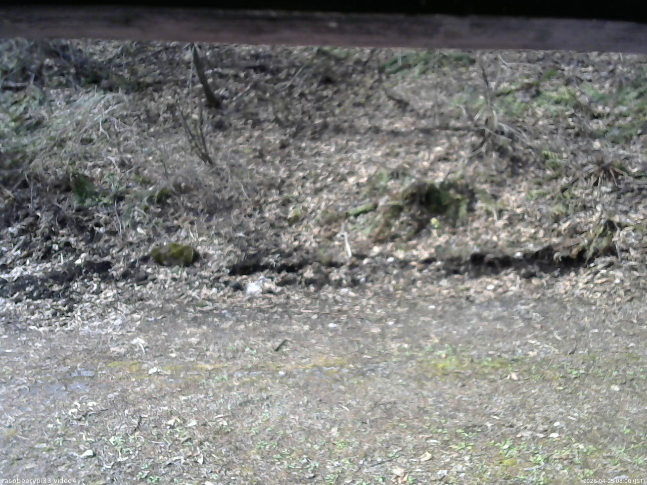長野県菅平高原 ゆたか山荘 東側(坂下) 2026/04/25 08:00
