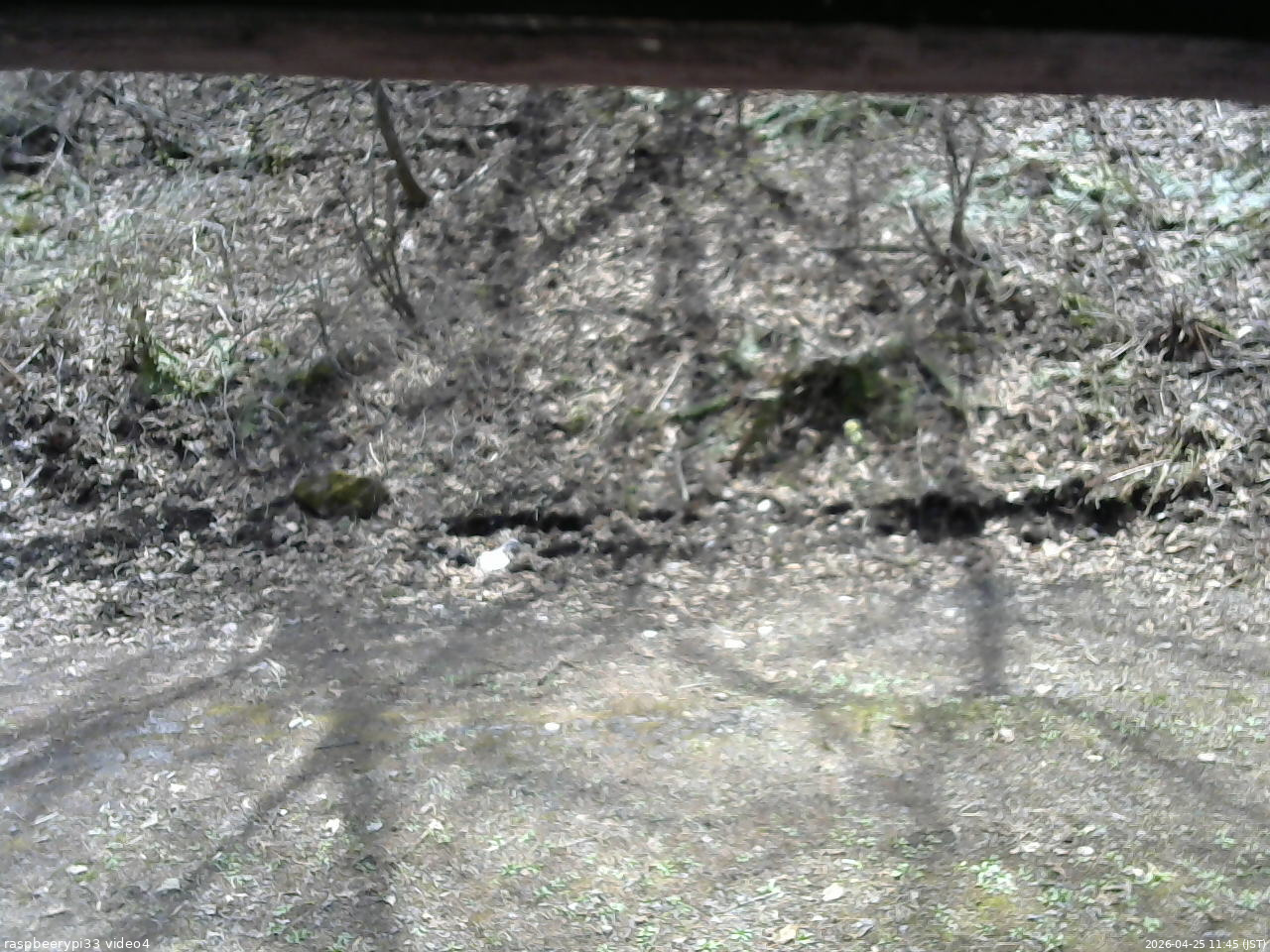 長野県菅平高原 ゆたか山荘 東側(坂下) 2026/04/25 11:45