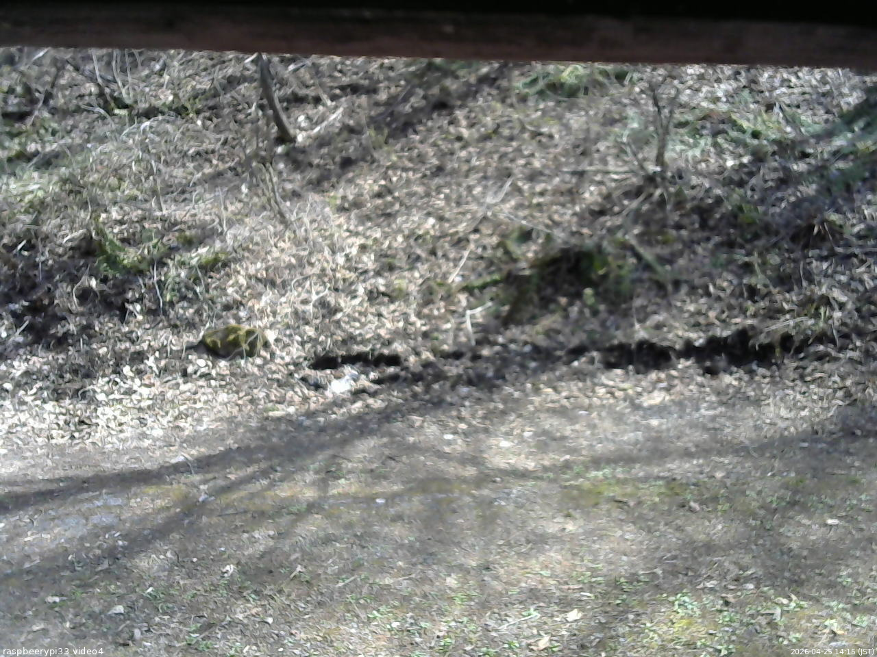 長野県菅平高原 ゆたか山荘 東側(坂下) 2026/04/25 14:15