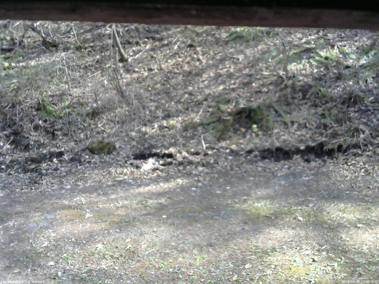 長野県菅平高原 ゆたか山荘 東側(坂下) 2026/04/25 15:00