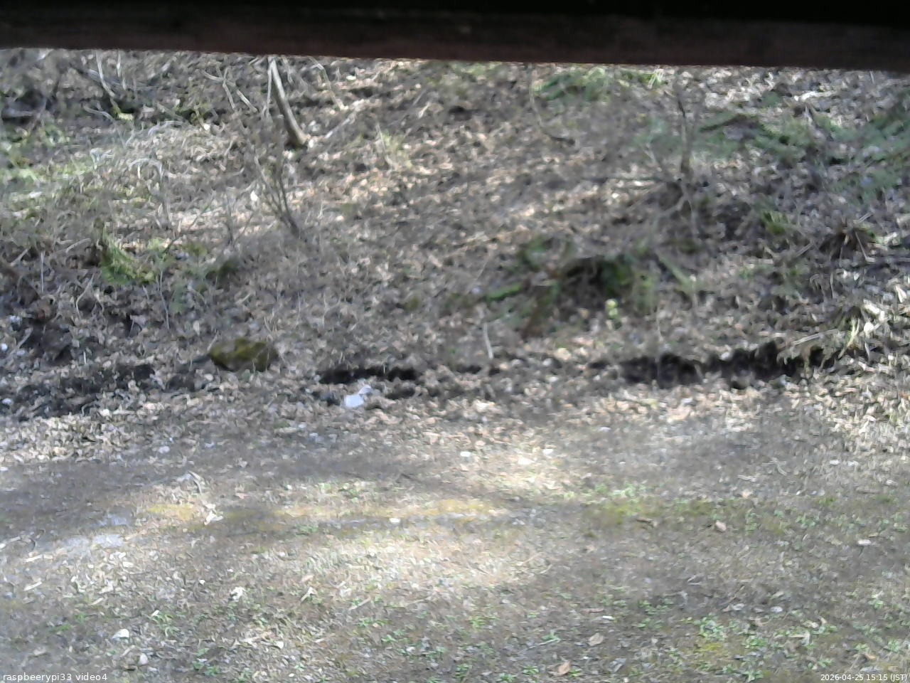 長野県菅平高原 ゆたか山荘 東側(坂下) 2026/04/25 15:15