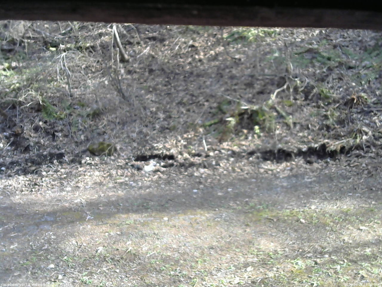 長野県菅平高原 ゆたか山荘 東側(坂下) 2026/04/25 15:30