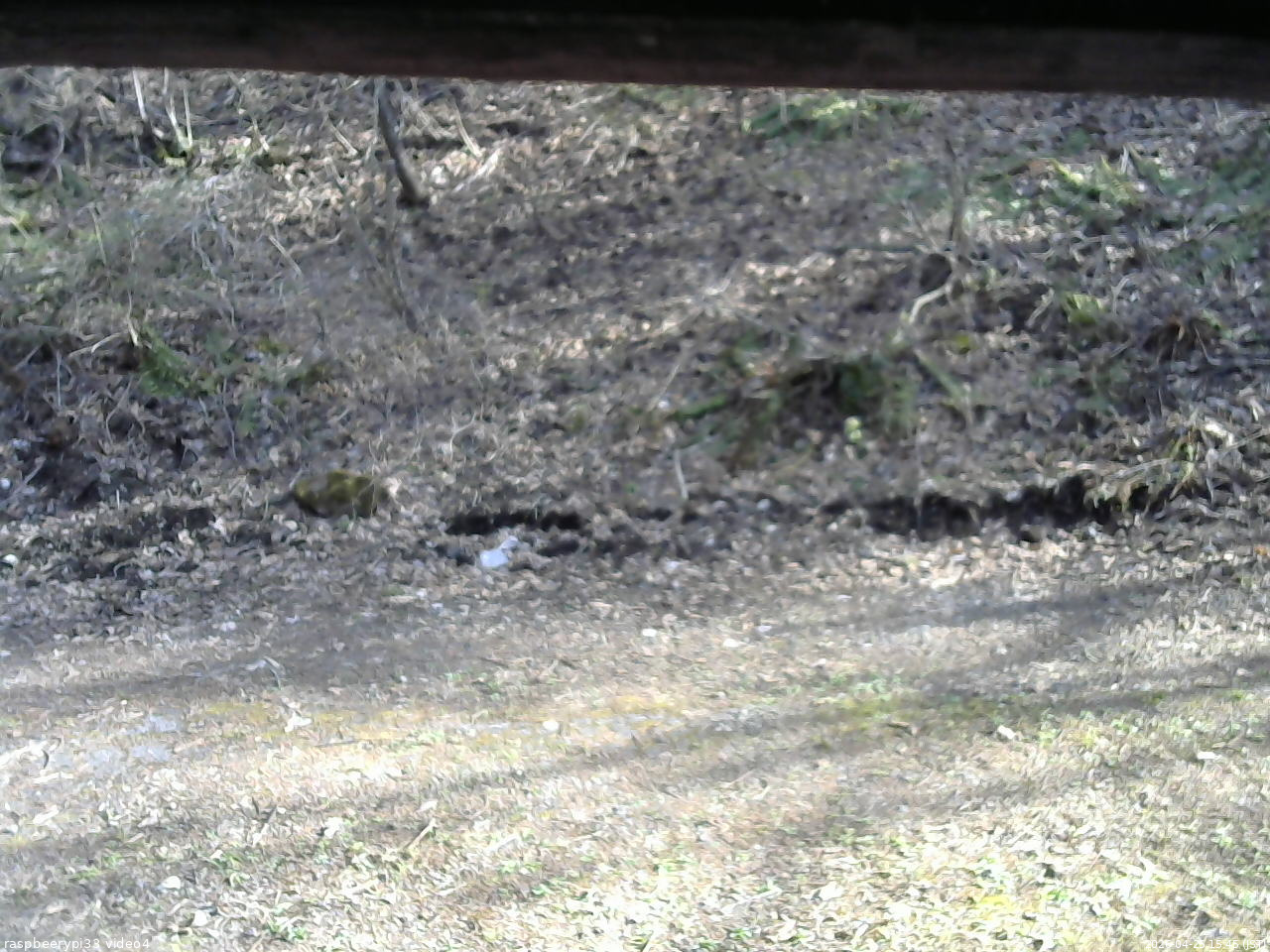 長野県菅平高原 ゆたか山荘 東側(坂下) 2026/04/25 15:45