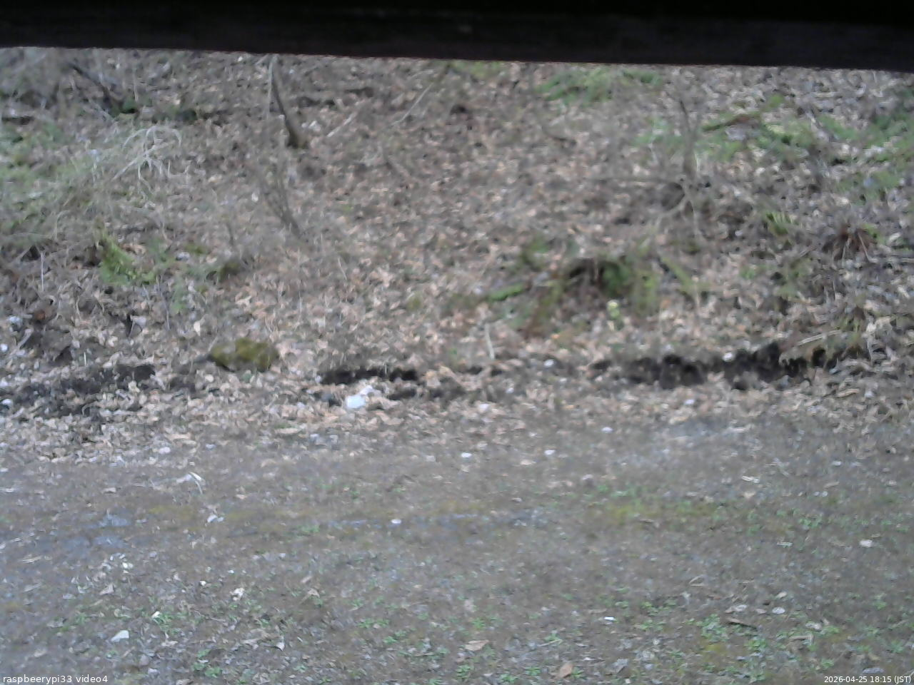 長野県菅平高原 ゆたか山荘 東側(坂下) 2026/04/25 18:15