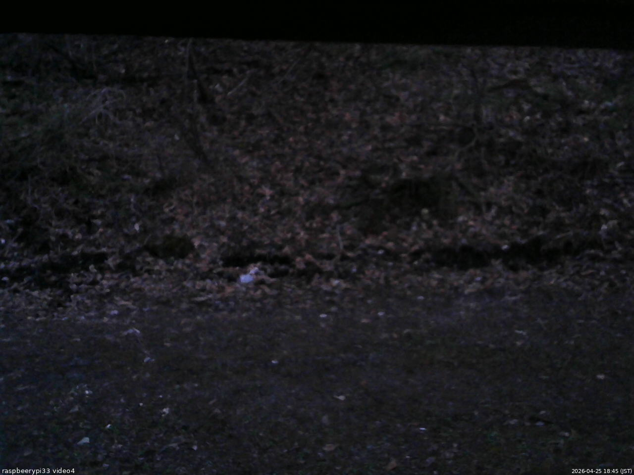 長野県菅平高原 ゆたか山荘 東側(坂下) 2026/04/25 18:45