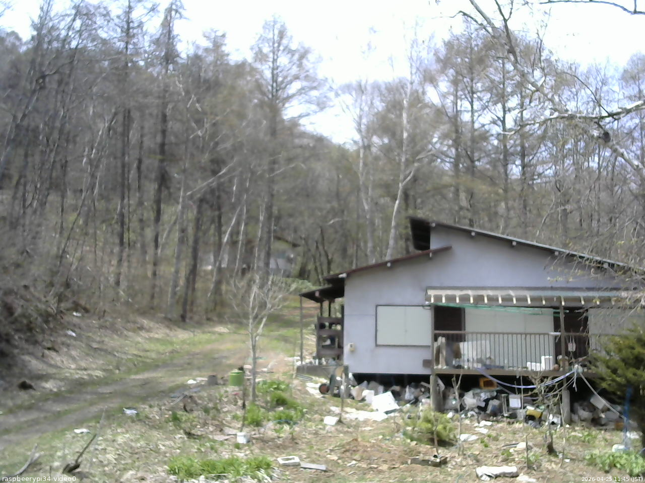 長野県菅平高原 ゆたか山荘 西側(坂上) 2026/04/25 11:45