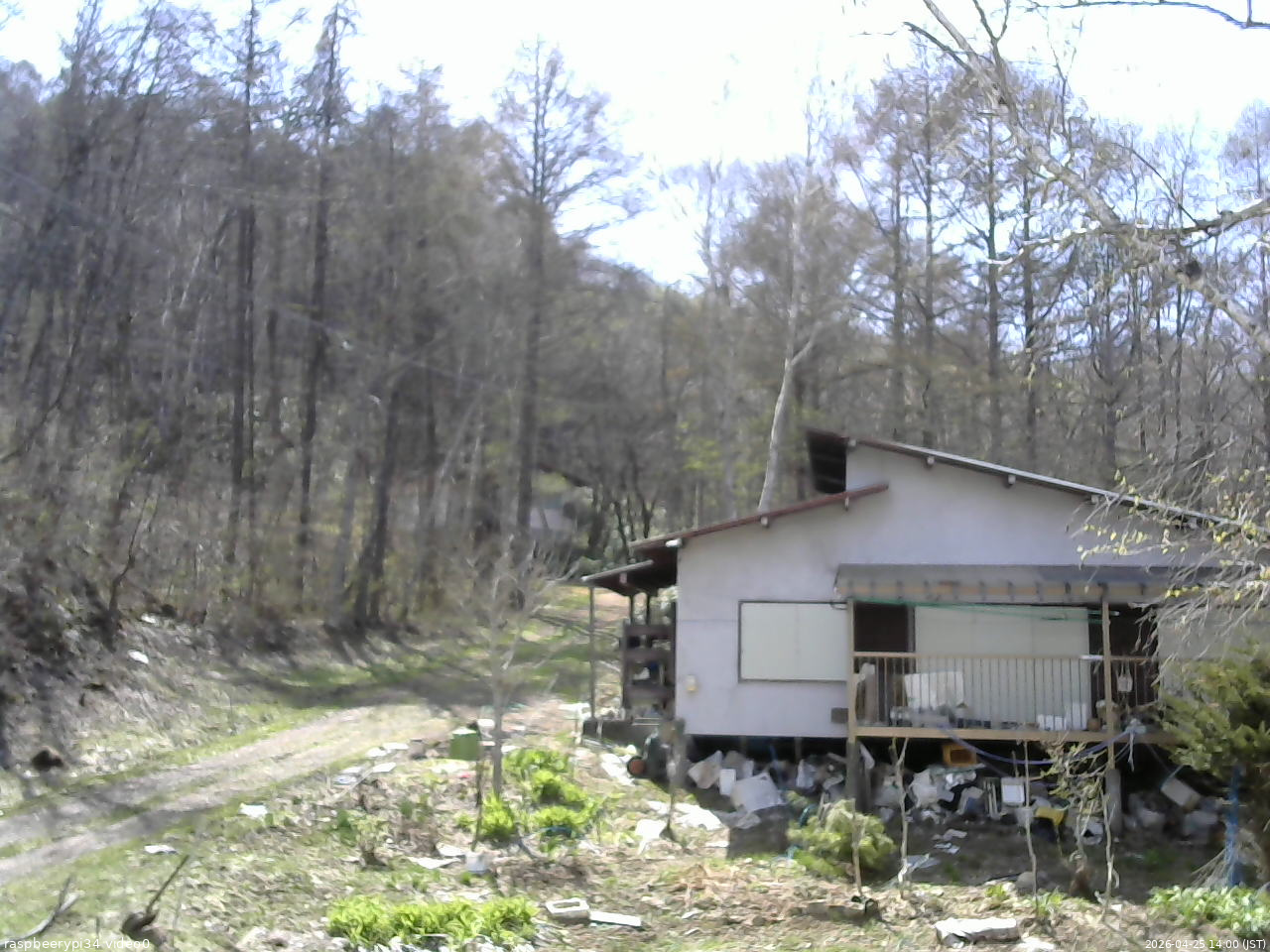 長野県菅平高原 ゆたか山荘 西側(坂上) 2026/04/25 14:00