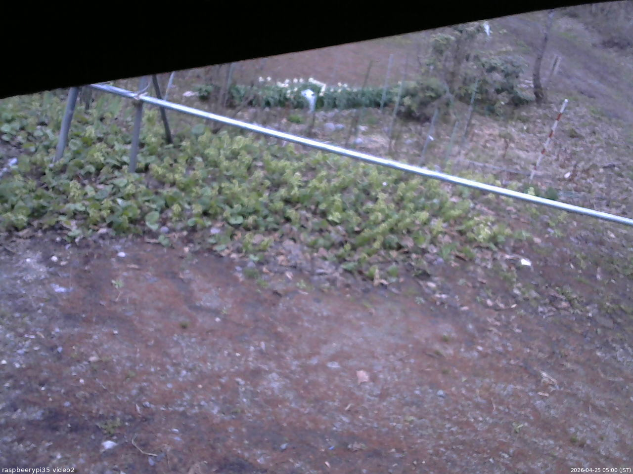 長野県菅平高原 ゆたか山荘 駐車場 2026/04/25 05:00