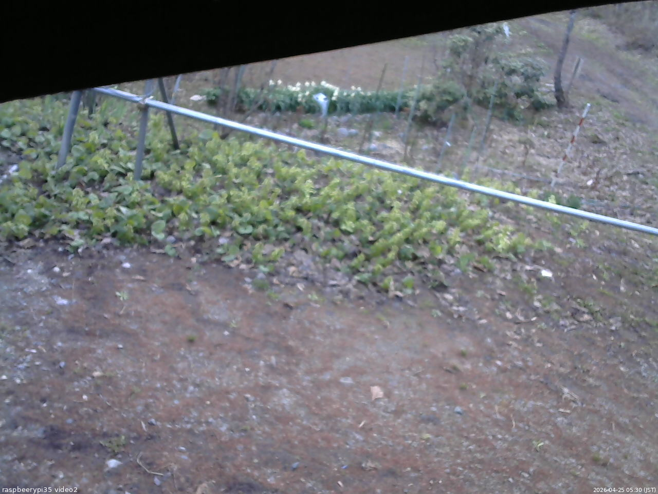 長野県菅平高原 ゆたか山荘 駐車場 2026/04/25 05:30