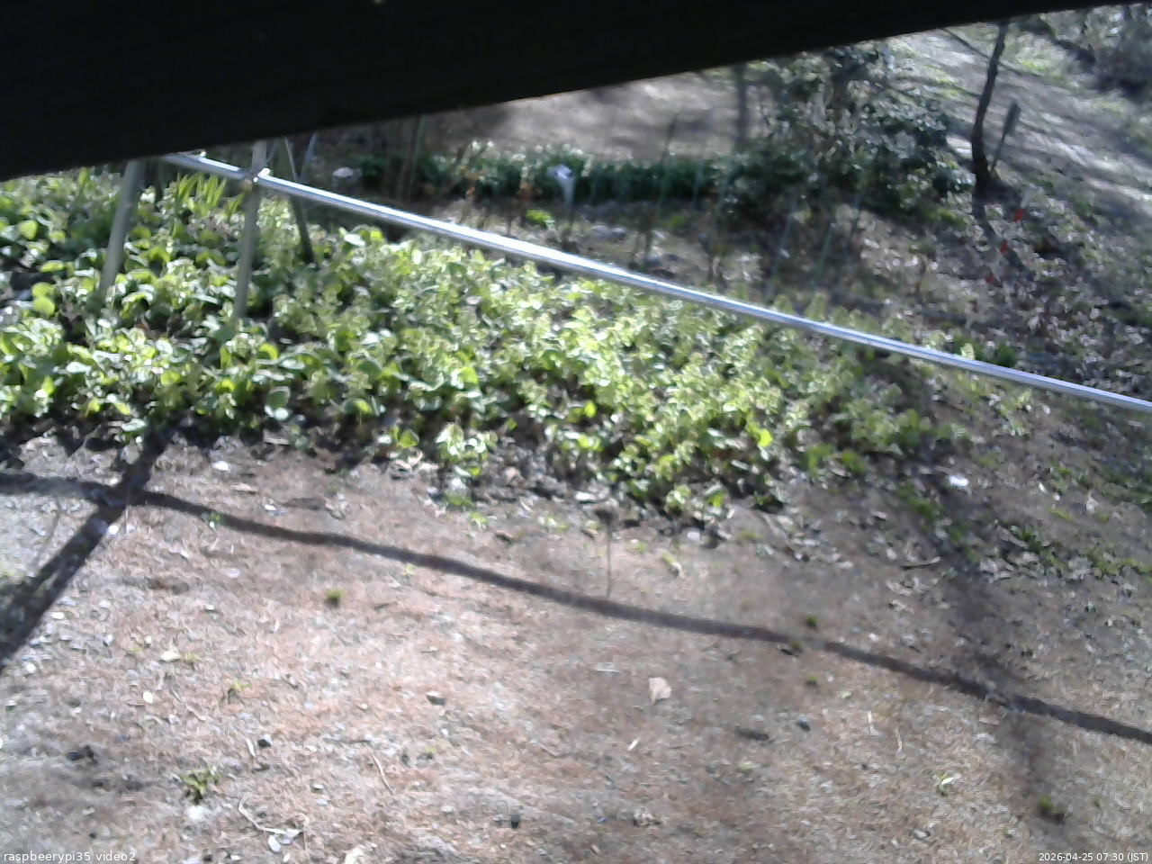 長野県菅平高原 ゆたか山荘 駐車場 2026/04/25 07:30