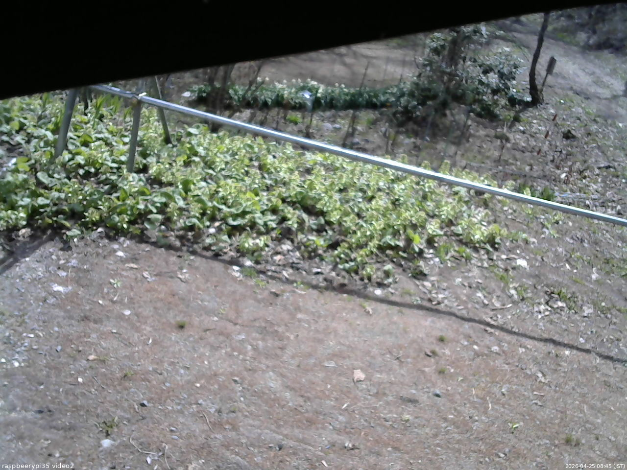 長野県菅平高原 ゆたか山荘 駐車場 2026/04/25 08:45