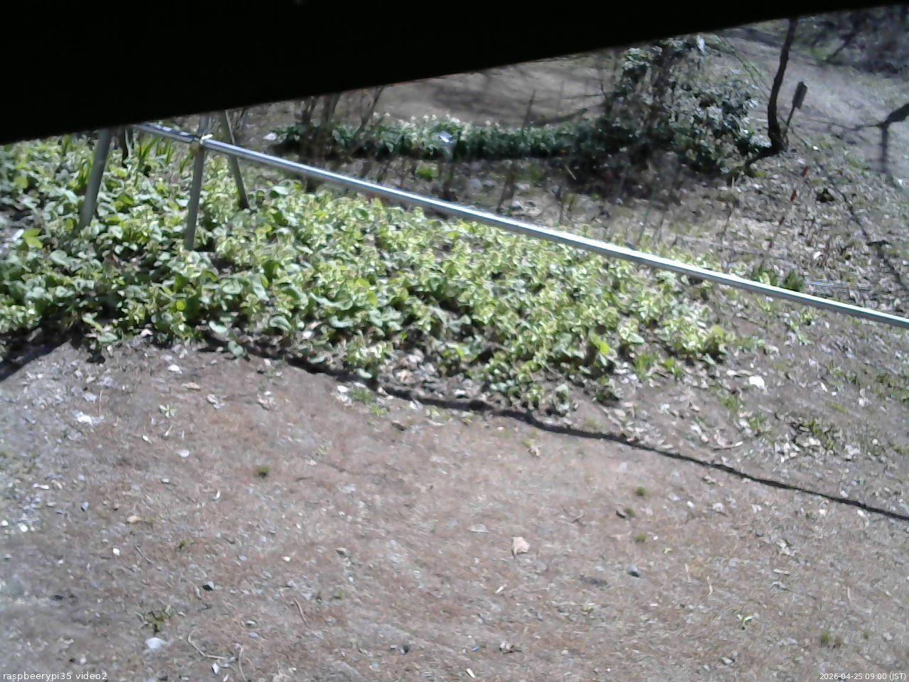 長野県菅平高原 ゆたか山荘 駐車場 2026/04/25 09:00