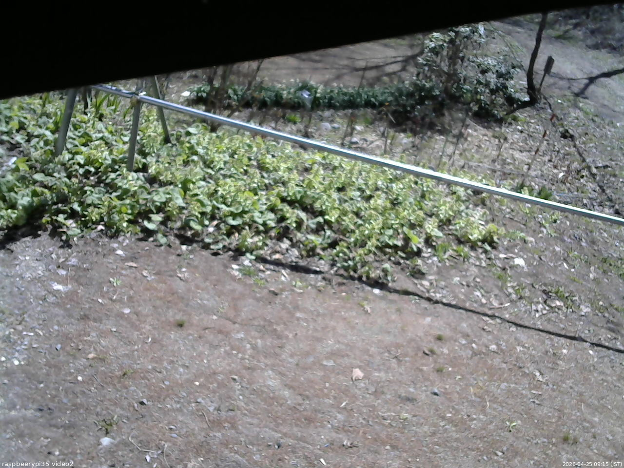 長野県菅平高原 ゆたか山荘 駐車場 2026/04/25 09:15