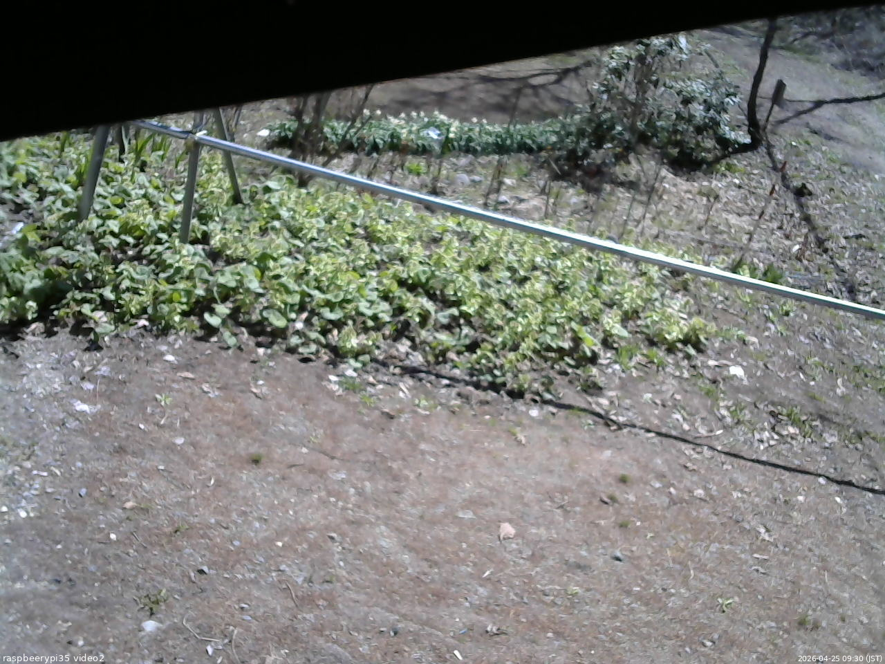 長野県菅平高原 ゆたか山荘 駐車場 2026/04/25 09:30