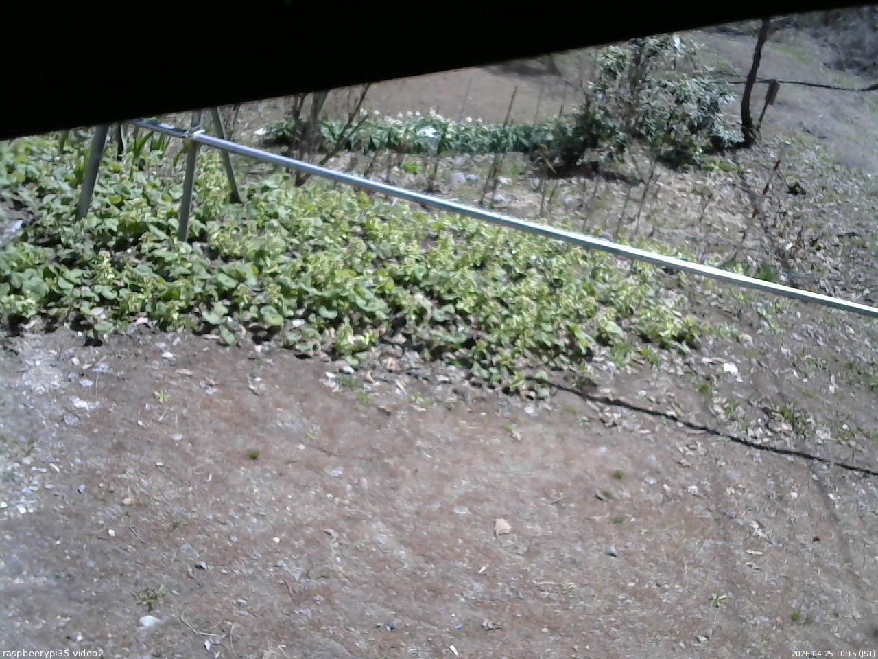 長野県菅平高原 ゆたか山荘 駐車場 2026/04/25 10:15