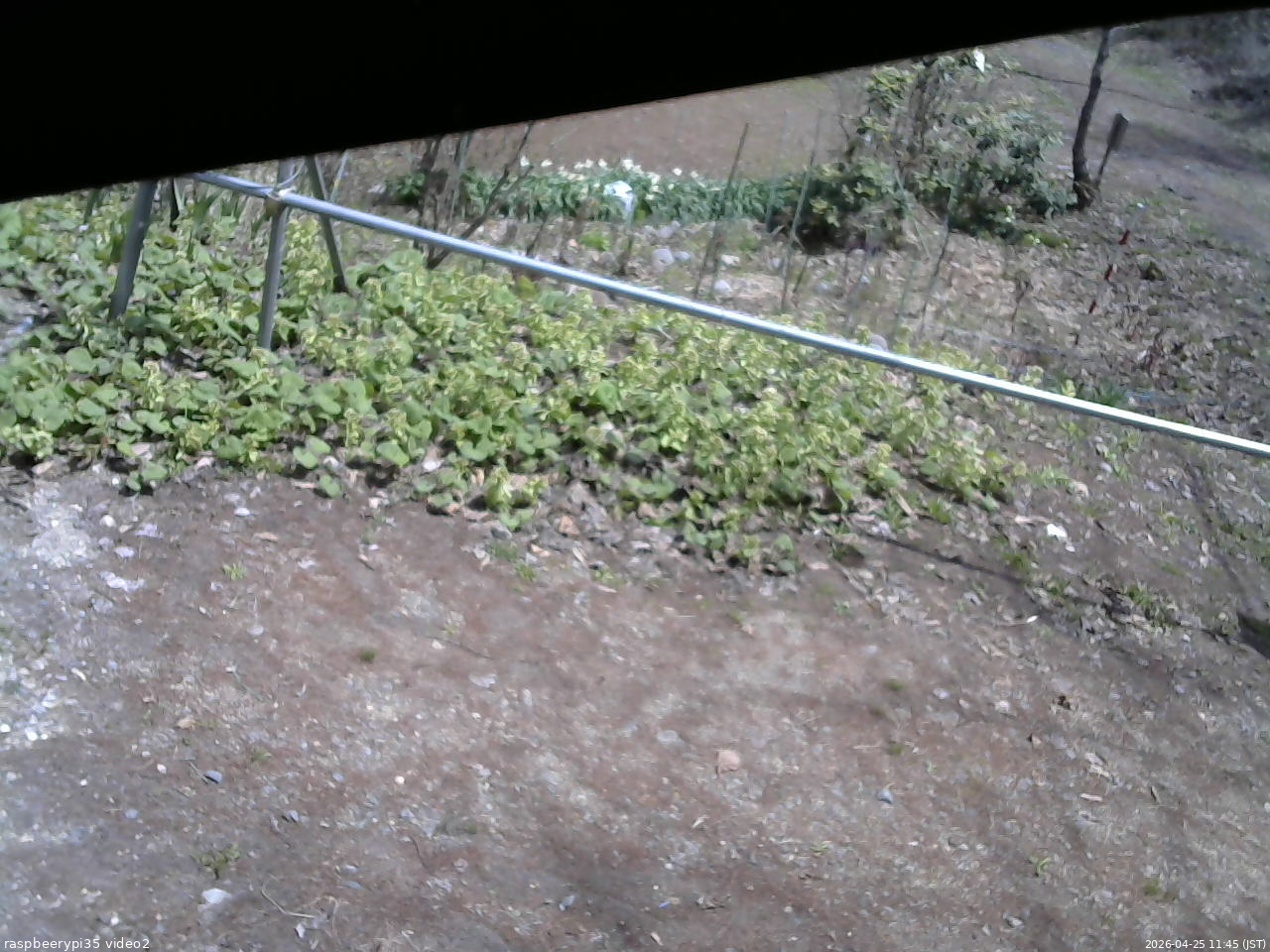 長野県菅平高原 ゆたか山荘 駐車場 2026/04/25 11:45