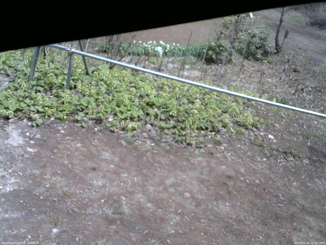 長野県菅平高原 ゆたか山荘 駐車場 2026/04/25 12:15