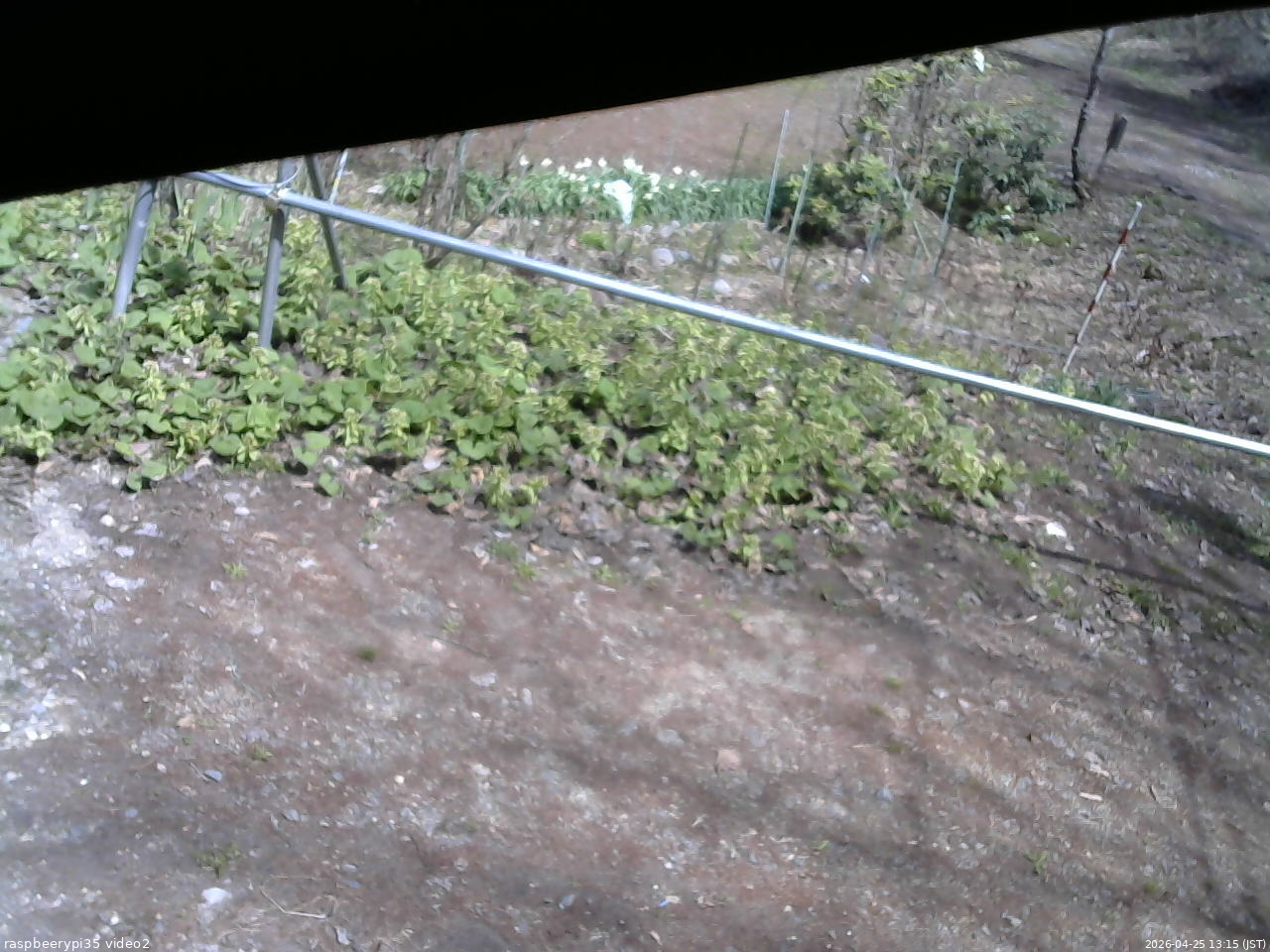 長野県菅平高原 ゆたか山荘 駐車場 2026/04/25 13:15