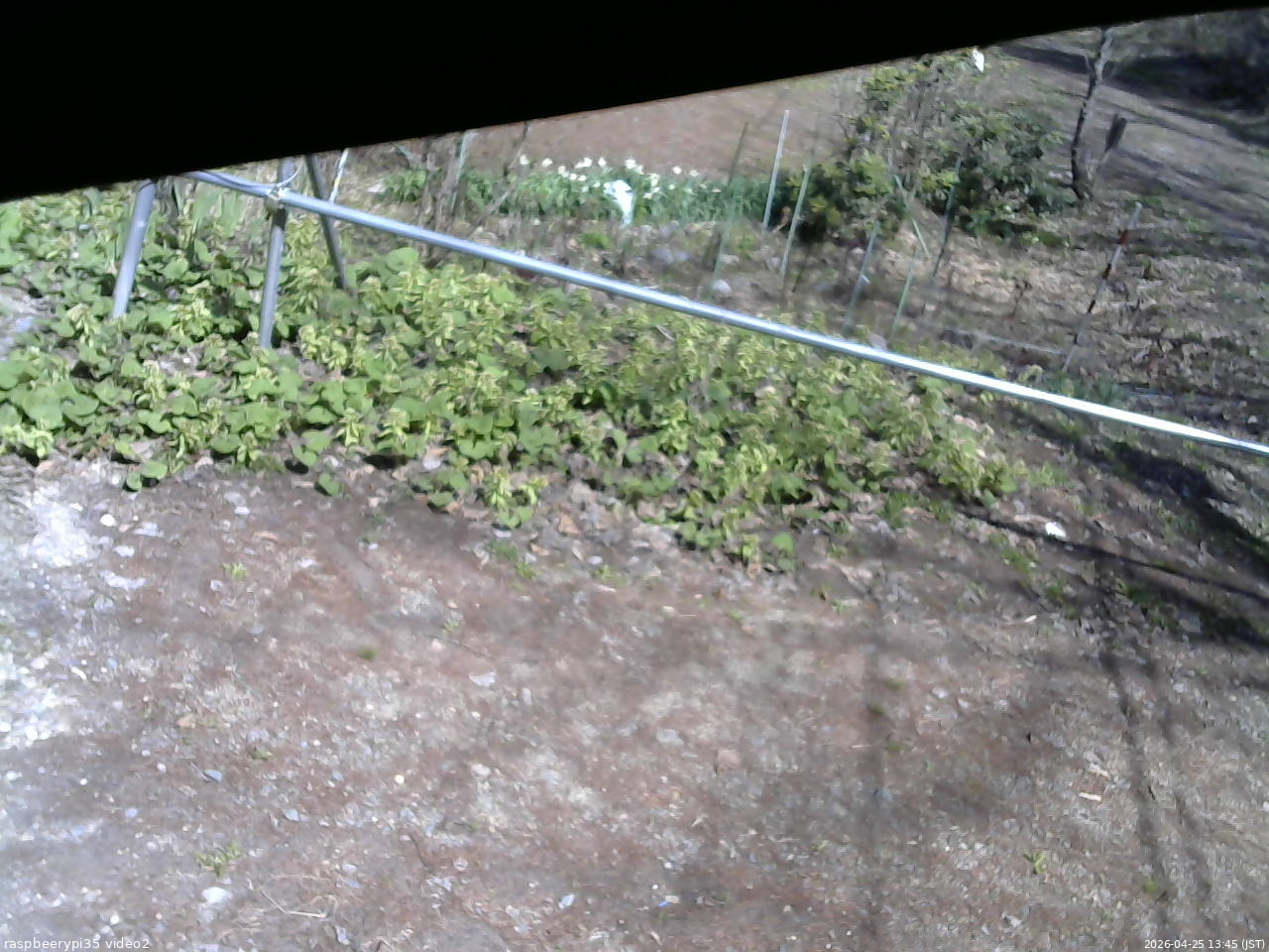 長野県菅平高原 ゆたか山荘 駐車場 2026/04/25 13:45