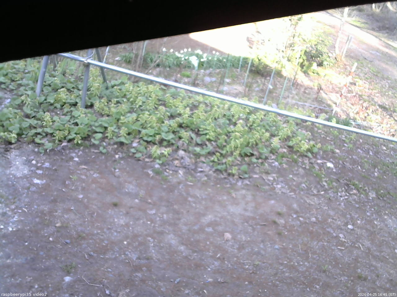 長野県菅平高原 ゆたか山荘 駐車場 2026/04/25 16:45