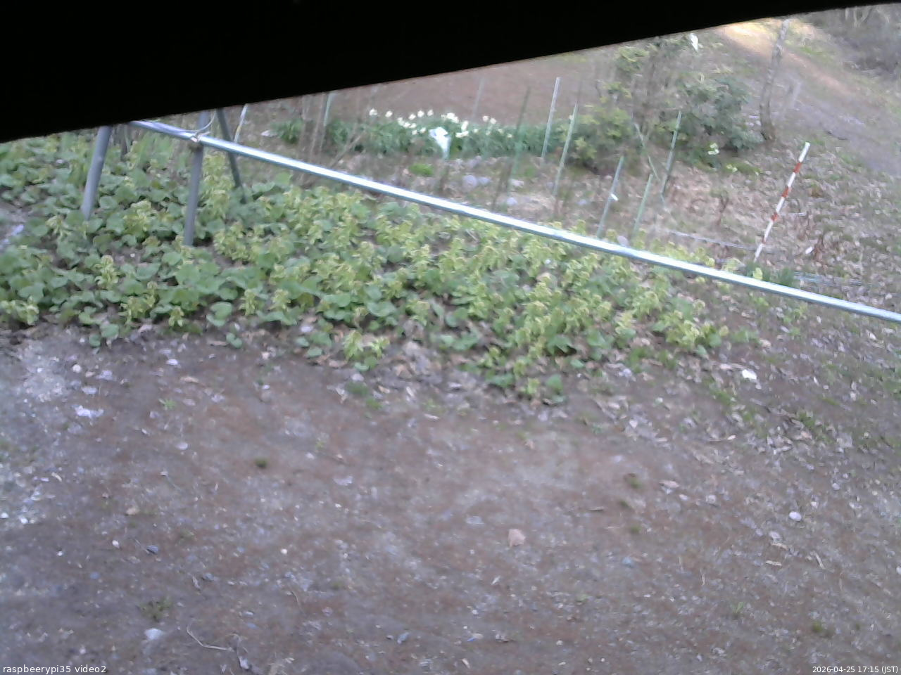 長野県菅平高原 ゆたか山荘 駐車場 2026/04/25 17:15