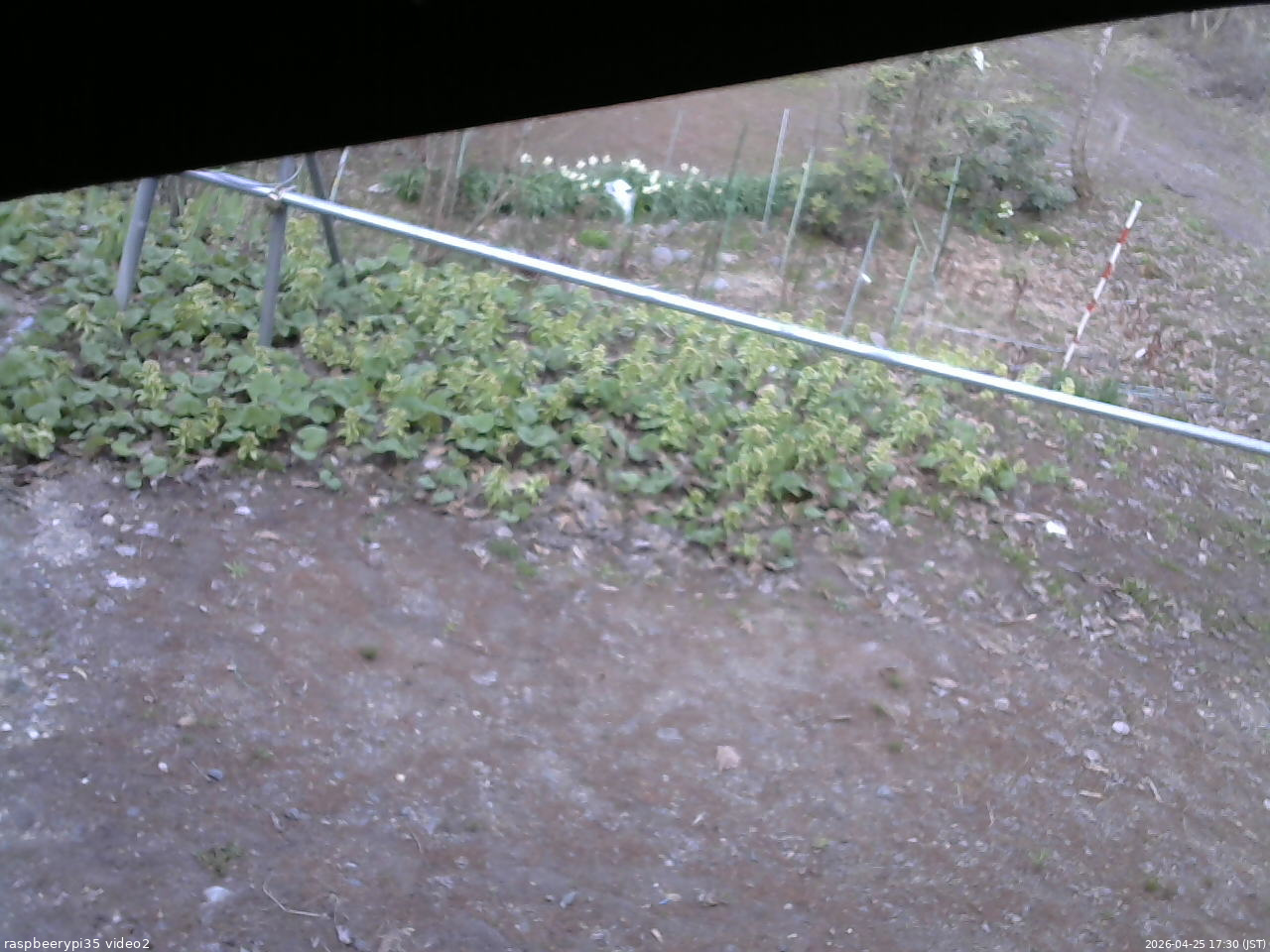 長野県菅平高原 ゆたか山荘 駐車場 2026/04/25 17:30