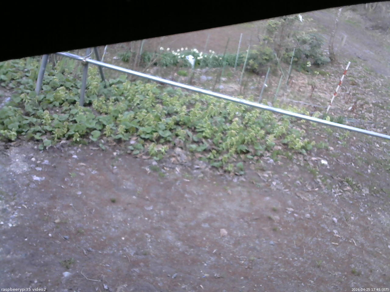 長野県菅平高原 ゆたか山荘 駐車場 2026/04/25 17:45