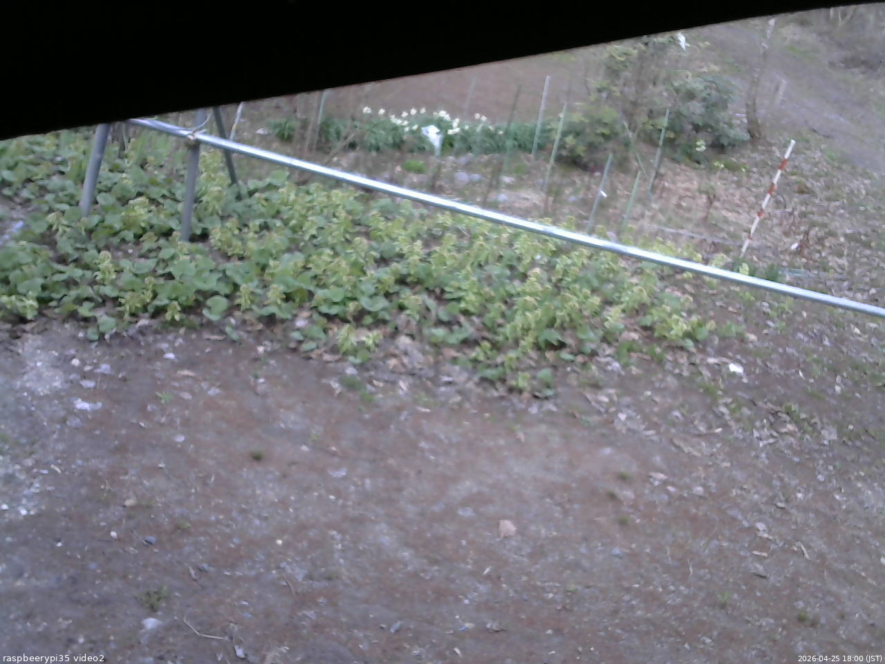 長野県菅平高原 ゆたか山荘 駐車場 2026/04/25 18:00
