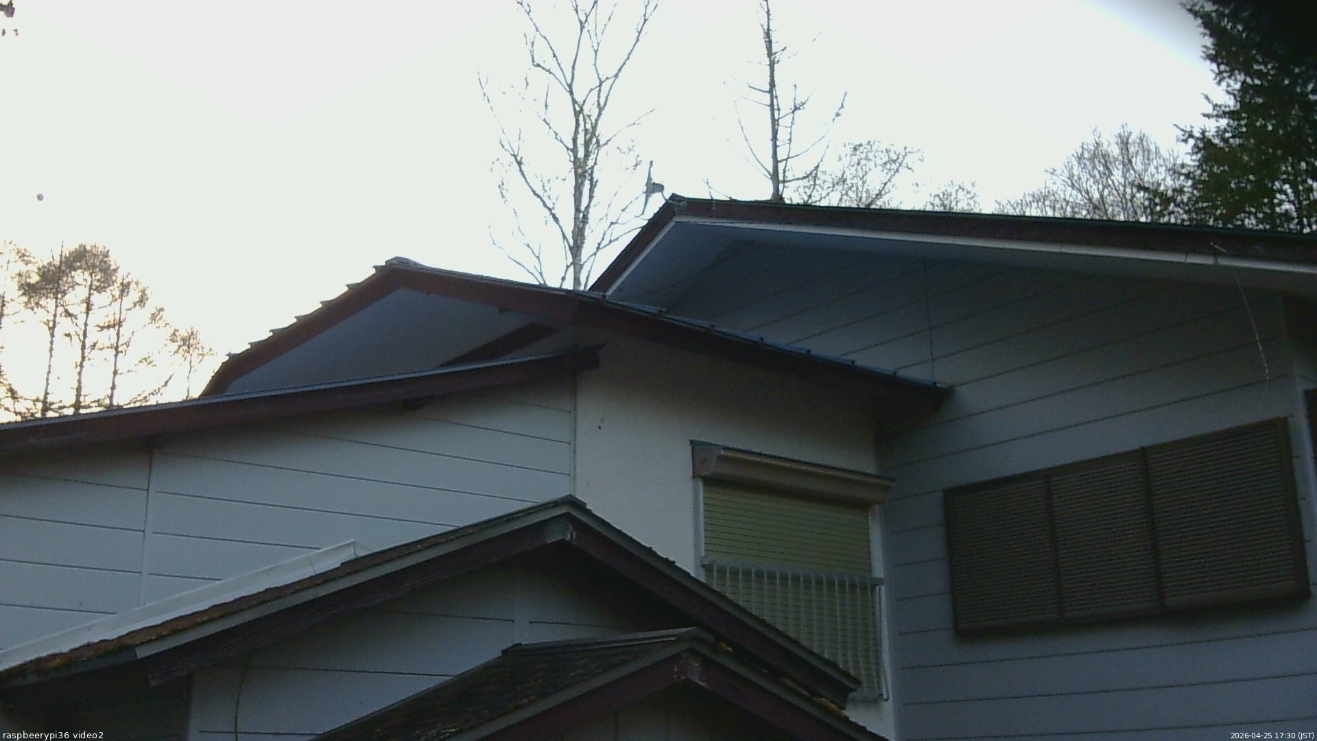 長野県菅平高原 ゆたか山荘 駐車場奥 2026/04/25 17:30
