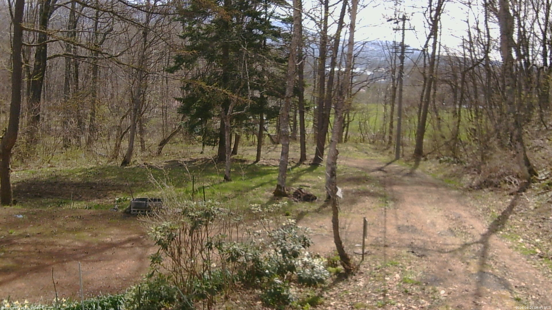 長野県菅平高原 ゆたか山荘 坂上 2026/04/25 08:45