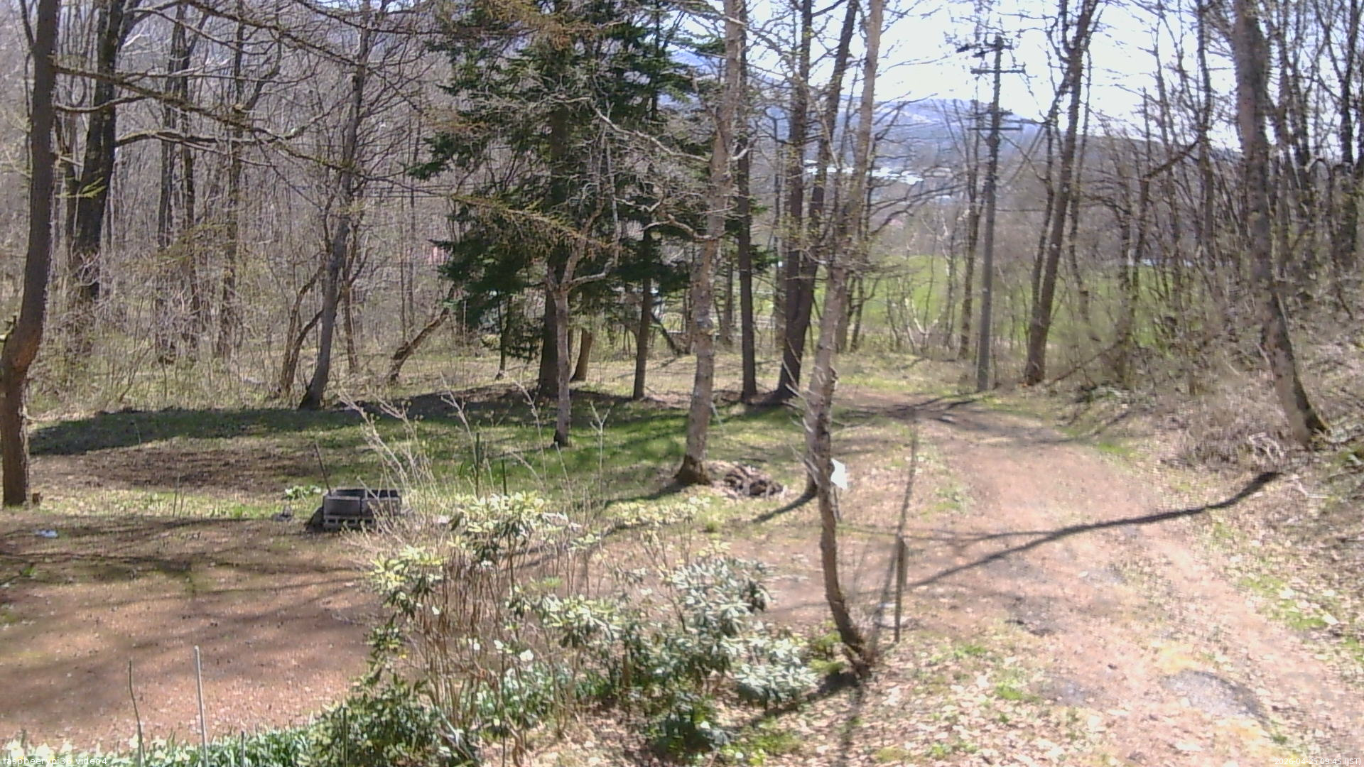 長野県菅平高原 ゆたか山荘 坂上 2026/04/25 09:45