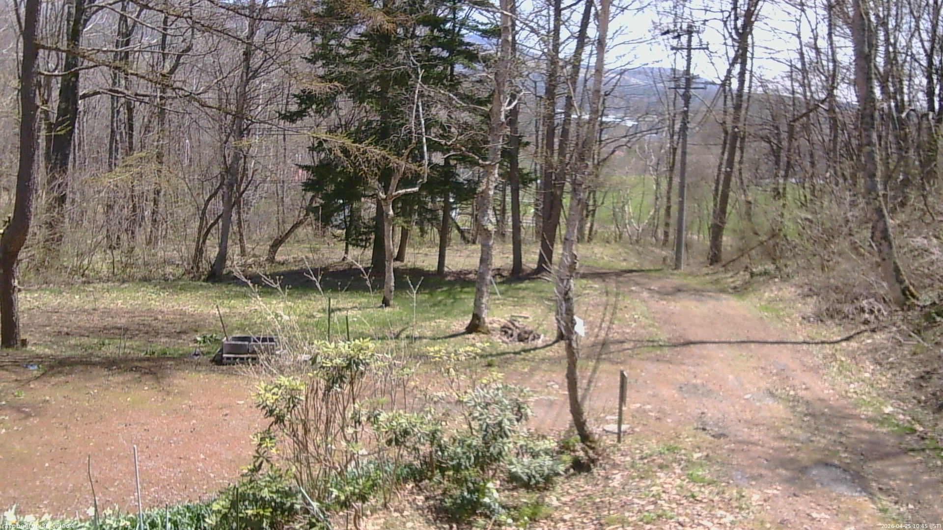 長野県菅平高原 ゆたか山荘 坂上 2026/04/25 10:45