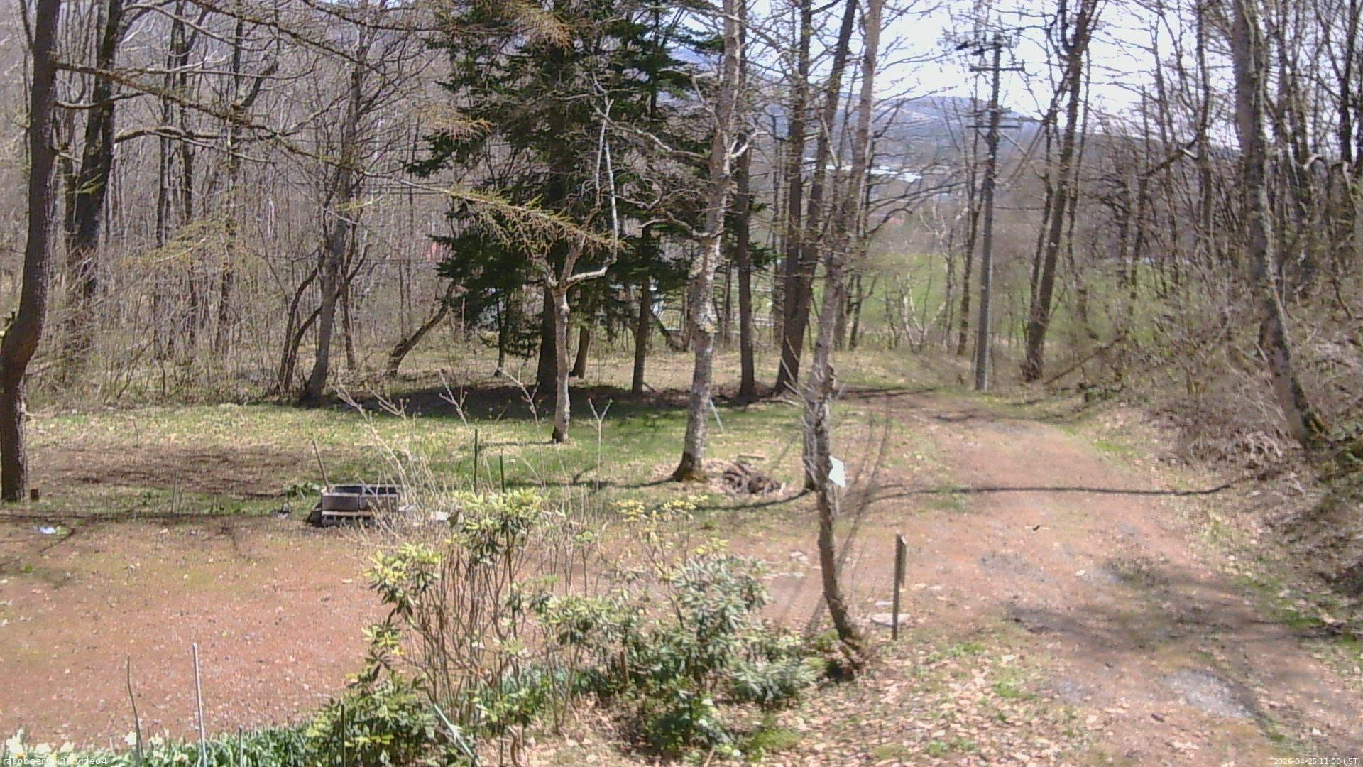 長野県菅平高原 ゆたか山荘 坂上 2026/04/25 11:00