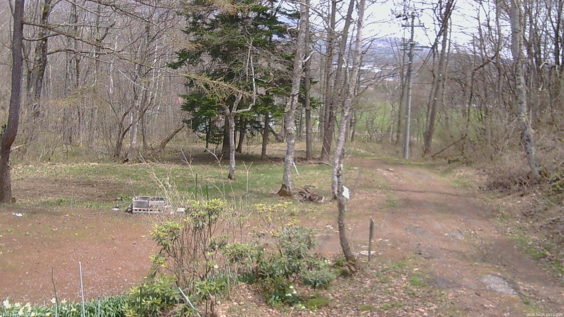 長野県菅平高原 ゆたか山荘 坂上 2026/04/25 12:15