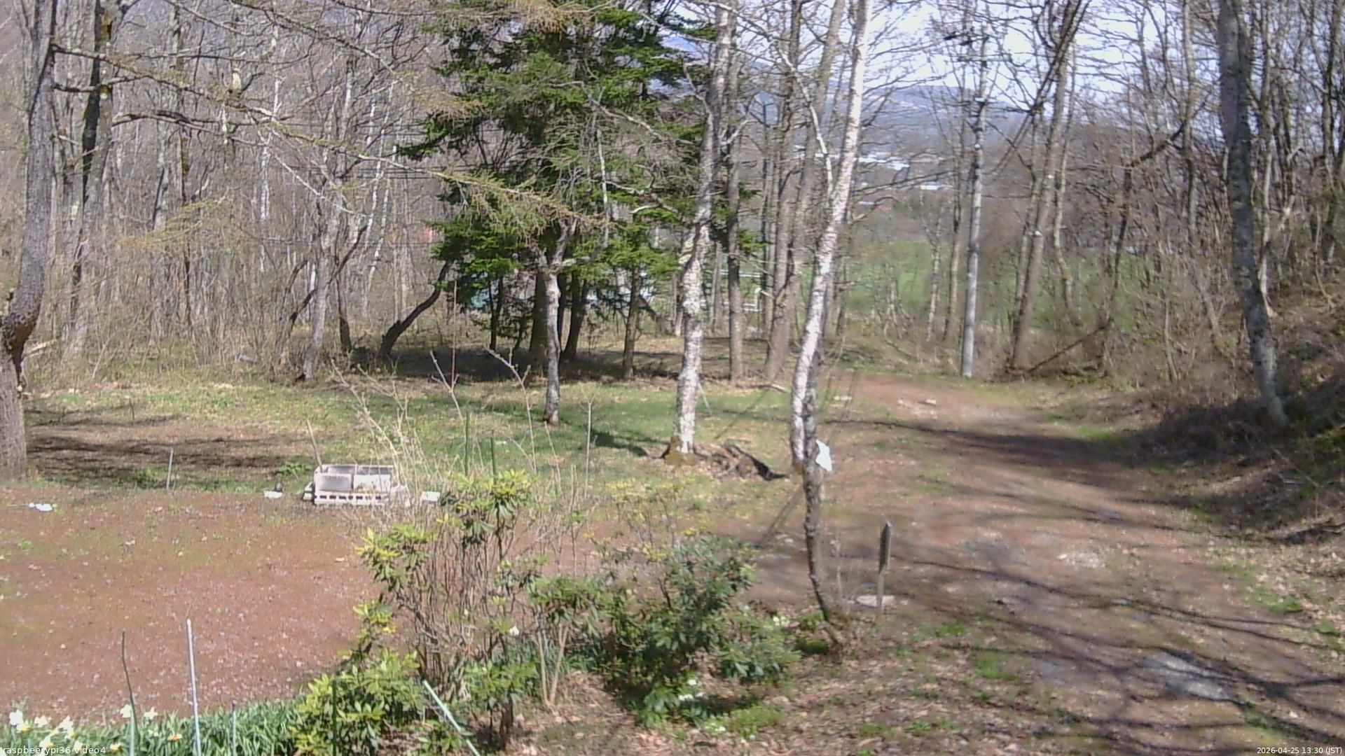長野県菅平高原 ゆたか山荘 坂上 2026/04/25 13:30