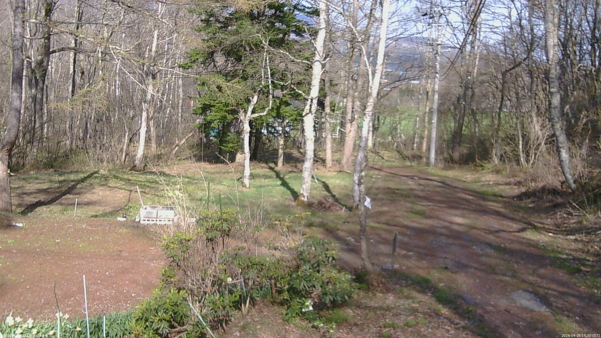 長野県菅平高原 ゆたか山荘 坂上 2026/04/25 15:30