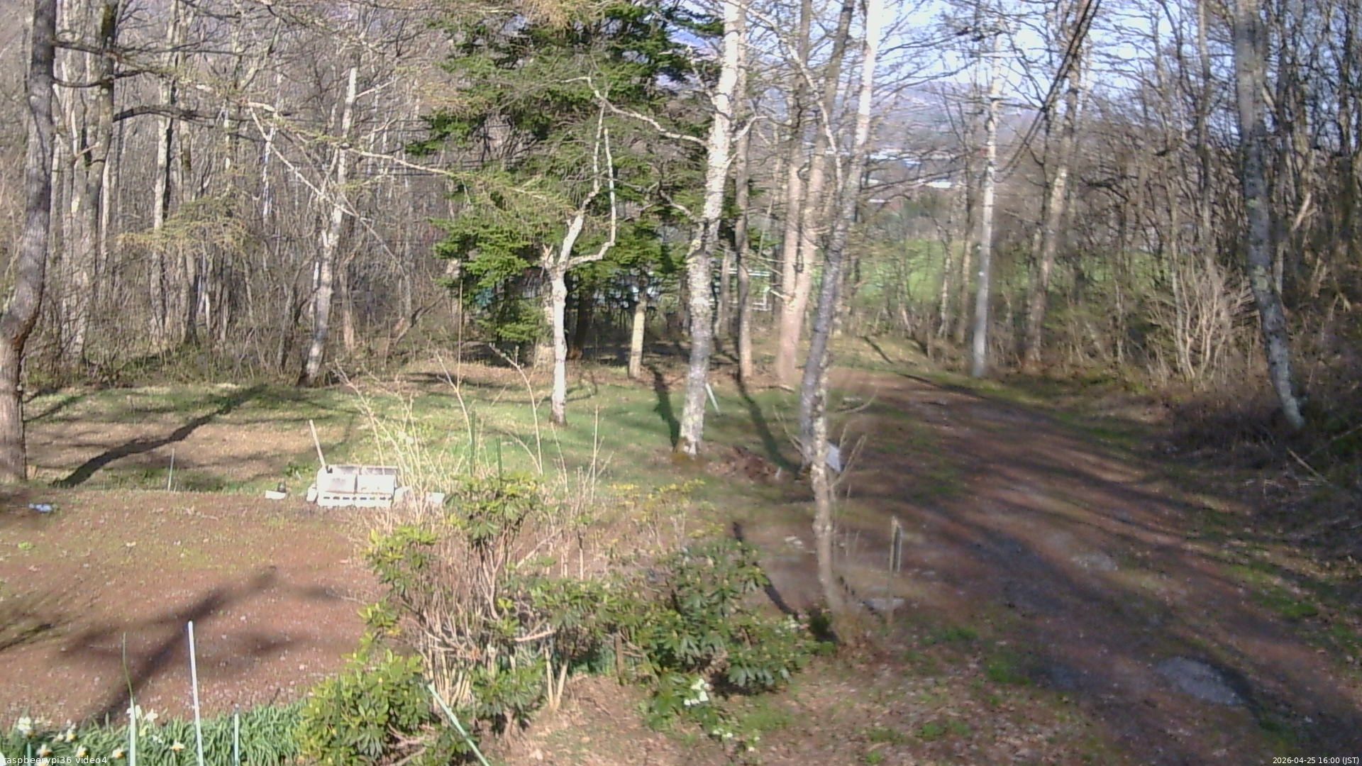 長野県菅平高原 ゆたか山荘 坂上 2026/04/25 16:00