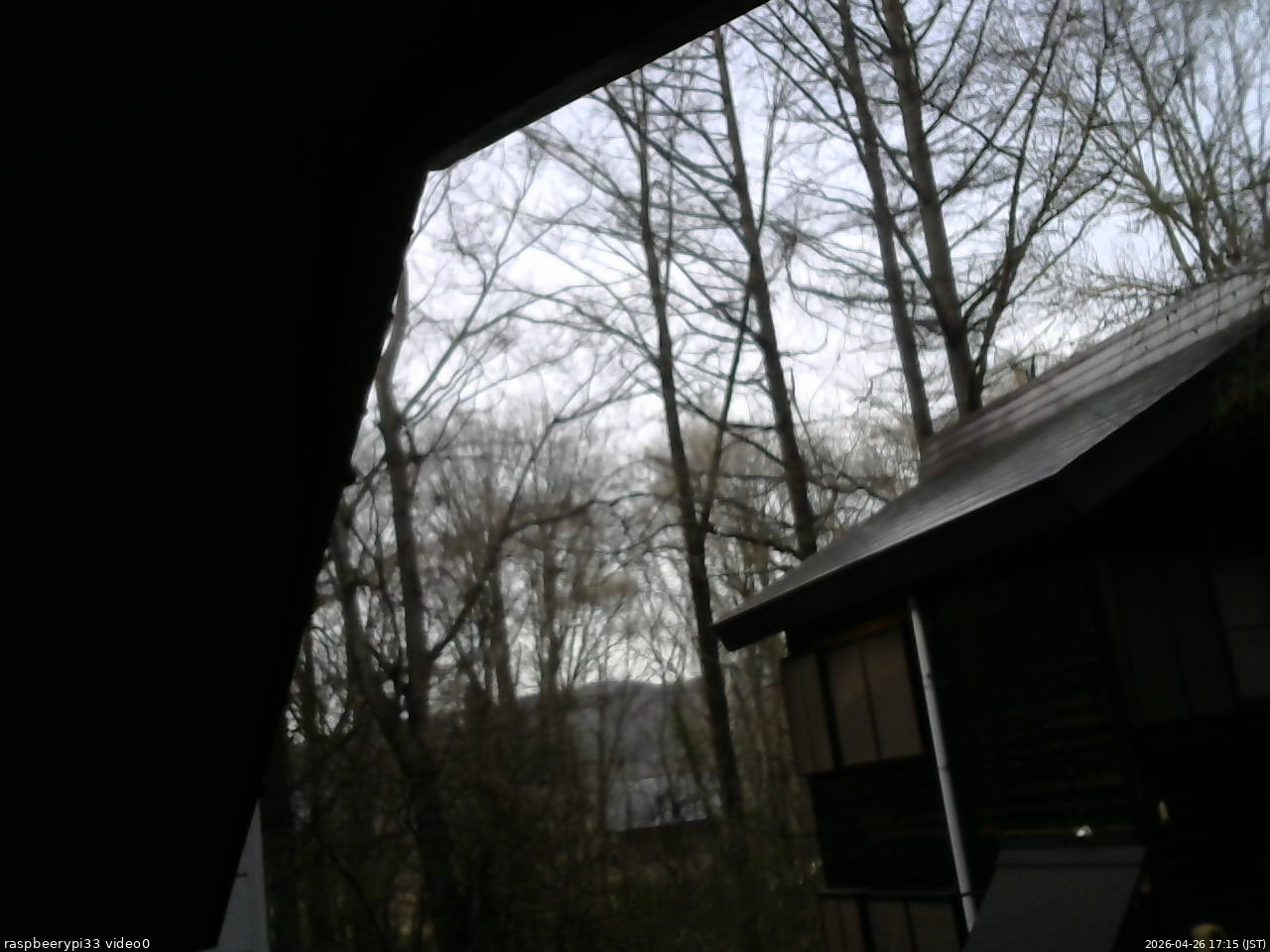 長野県菅平高原 ゆたか山荘 北側 2026/04/26 17:15
