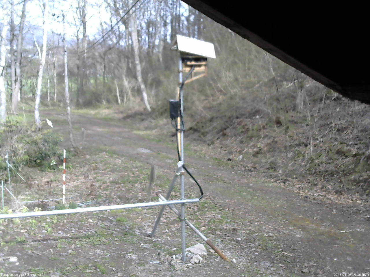 長野県菅平高原 ゆたか山荘 南側 2026/04/26 15:30