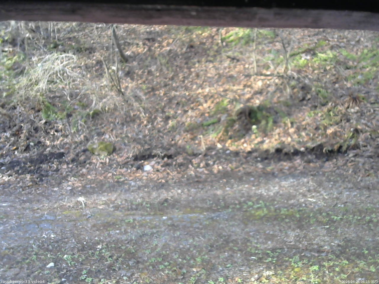 長野県菅平高原 ゆたか山荘 東側(坂下) 2026/04/26 06:15