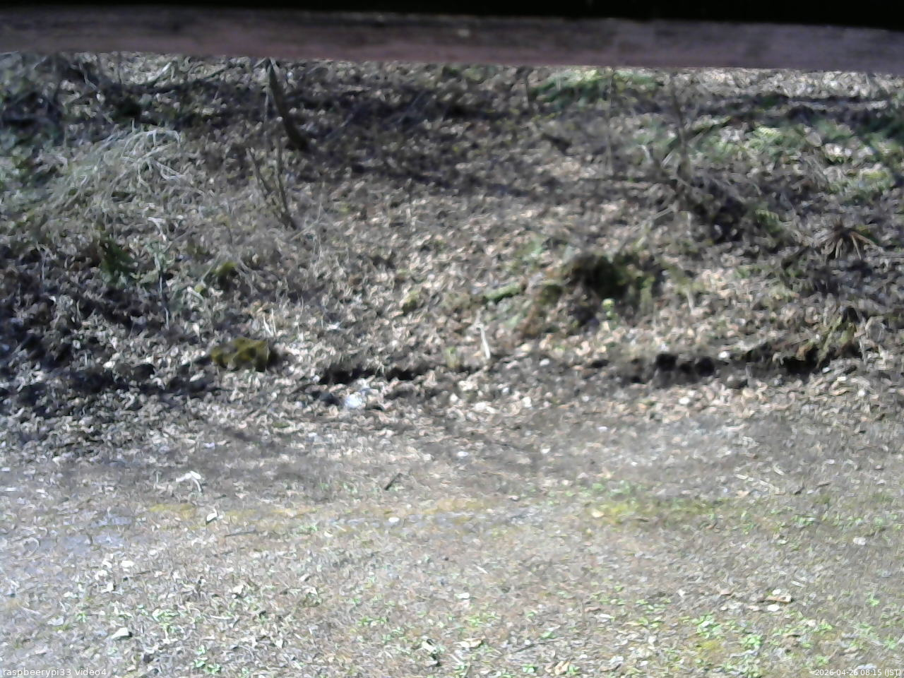 長野県菅平高原 ゆたか山荘 東側(坂下) 2026/04/26 08:15