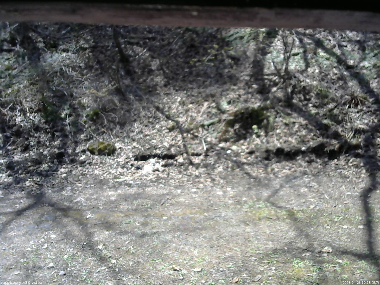 長野県菅平高原 ゆたか山荘 東側(坂下) 2026/04/26 10:15