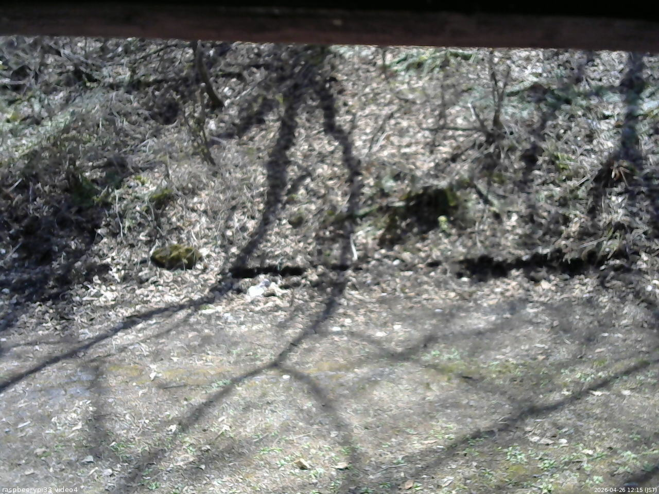 長野県菅平高原 ゆたか山荘 東側(坂下) 2026/04/26 12:15