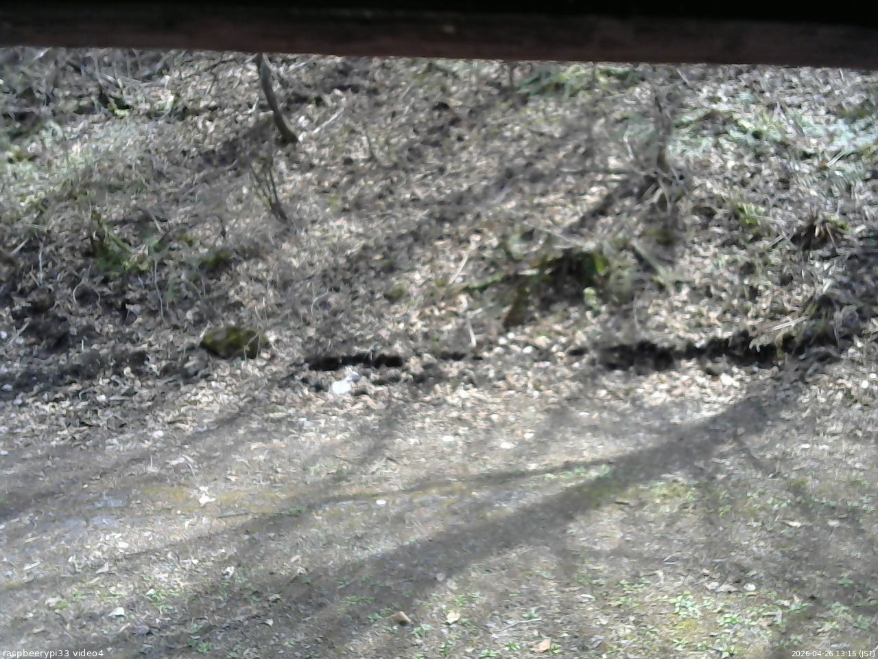長野県菅平高原 ゆたか山荘 東側(坂下) 2026/04/26 13:15