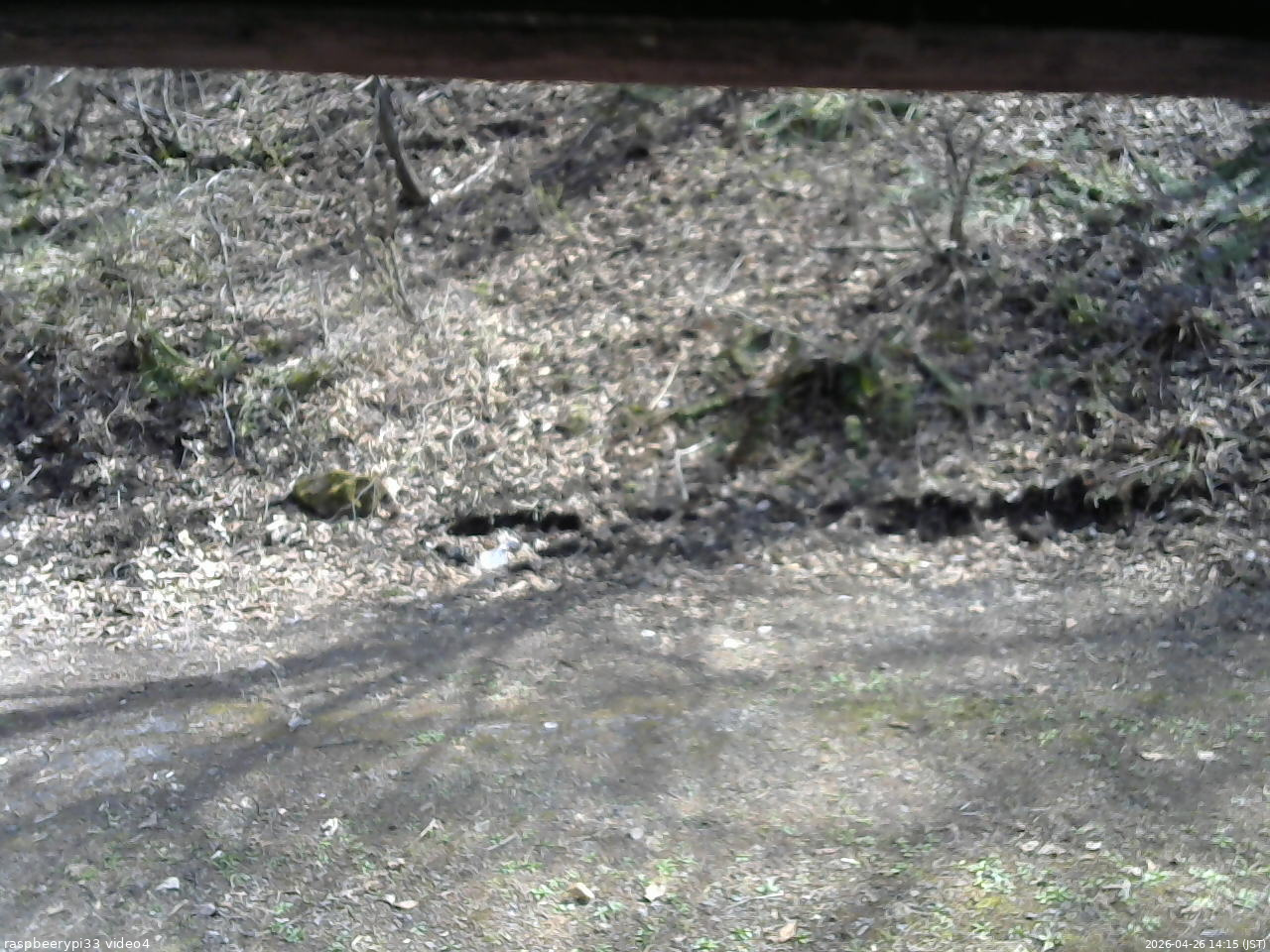長野県菅平高原 ゆたか山荘 東側(坂下) 2026/04/26 14:15