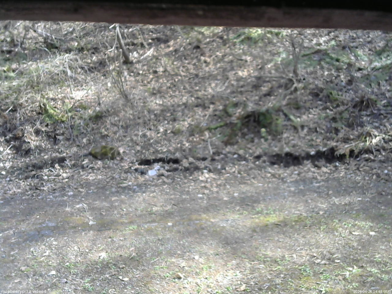 長野県菅平高原 ゆたか山荘 東側(坂下) 2026/04/26 14:45